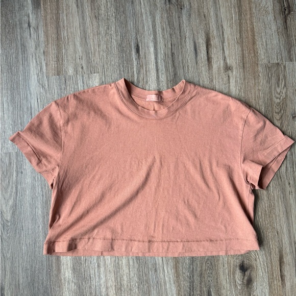 nuuds Tops - NUUDS cropped tee in color Clay (never been worn)